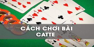 Cách Chơi Bài Catte - Tổng Hợp Những Điều Tân Thủ Cần Nắm